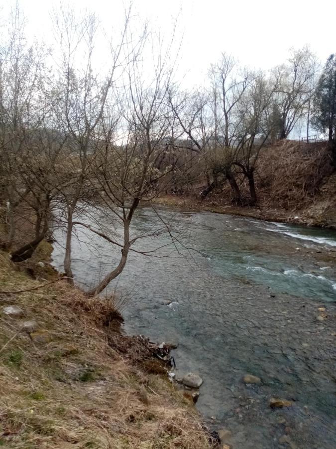Садиба Федорчуків За Рікою1 Sheshory Exterior foto