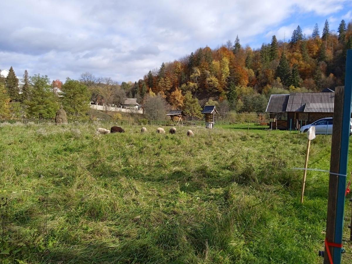 Садиба Федорчуків За Рікою1 Sheshory Exterior foto
